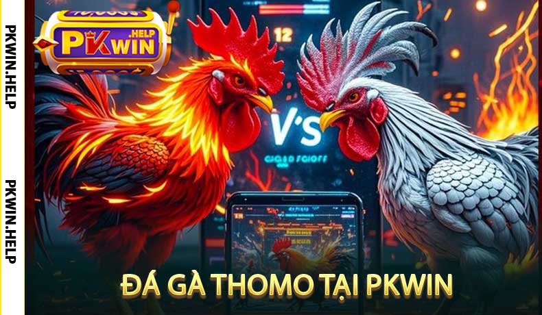 Đá Gà Thomo