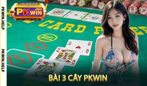 Bài 3 Cây PKWin